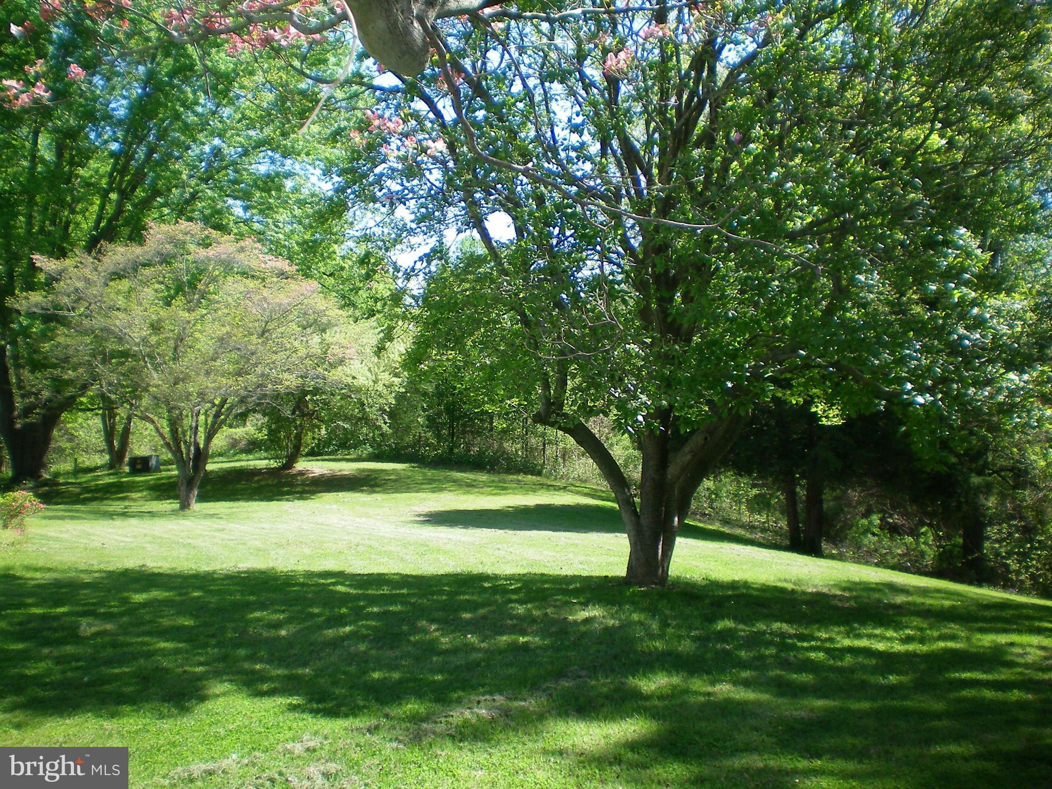 282 Fairhaven Road Tracys Landing, MD 20779 - Photo 21 of 30 a view of a trees with a yard