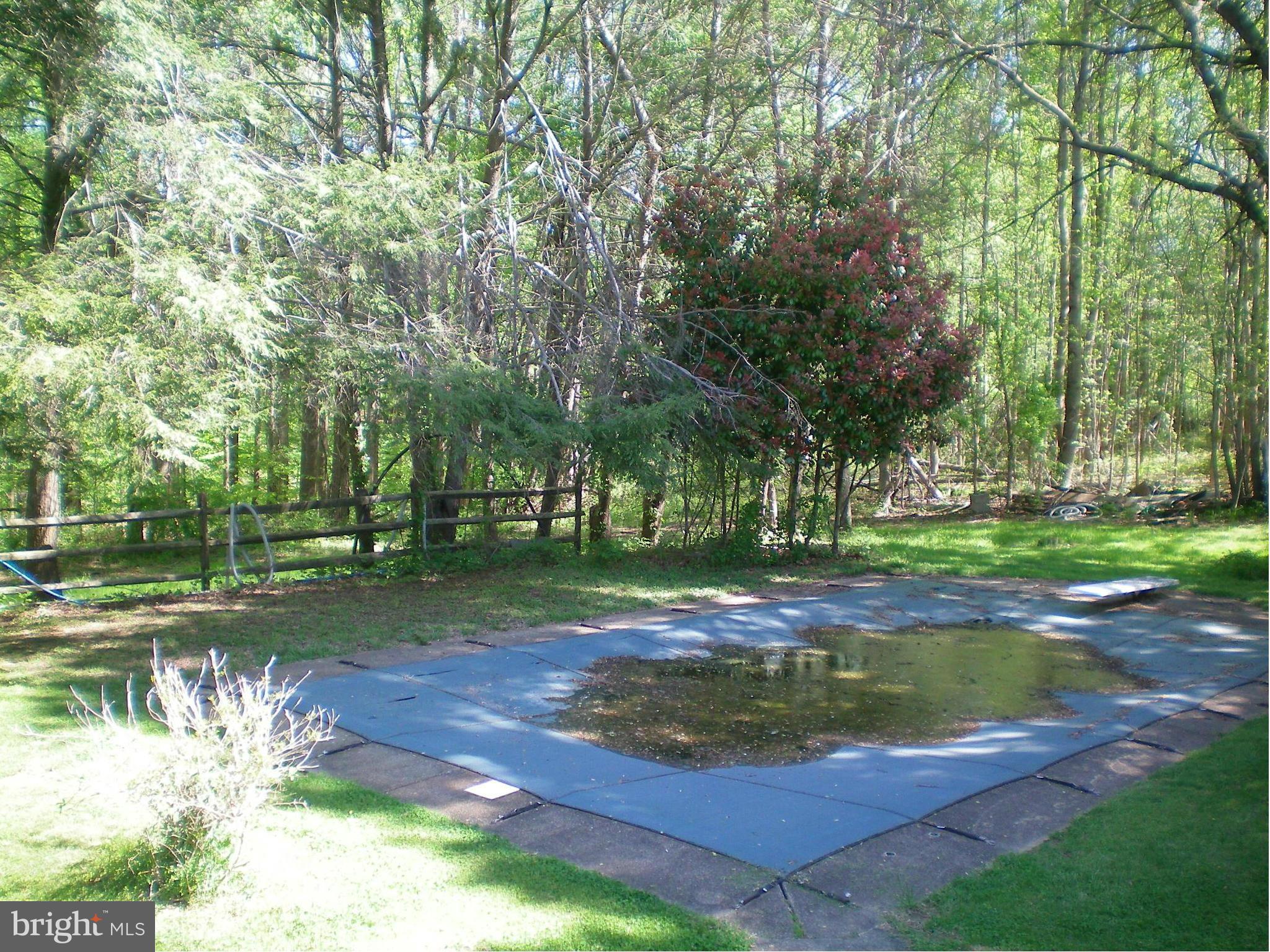 282 Fairhaven Road Tracys Landing, MD 20779 - Photo 24 of 30 a view of a yard with entertaining space