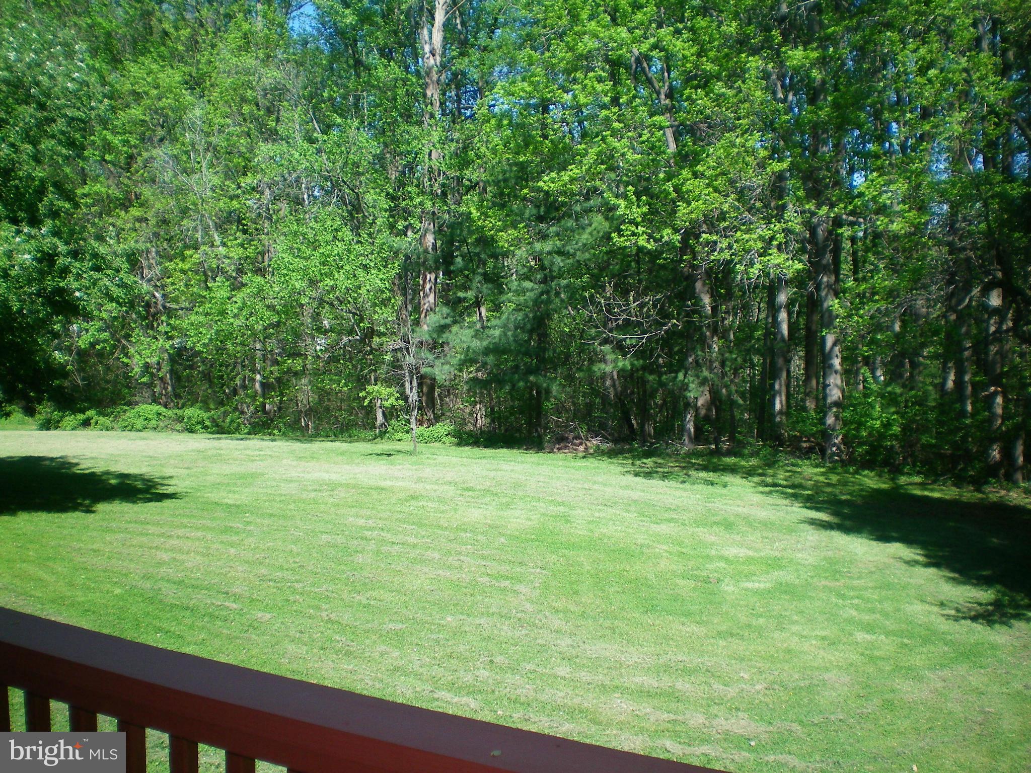 282 Fairhaven Road Tracys Landing, MD 20779 - Photo 25 of 30 a view of a grassy field with trees