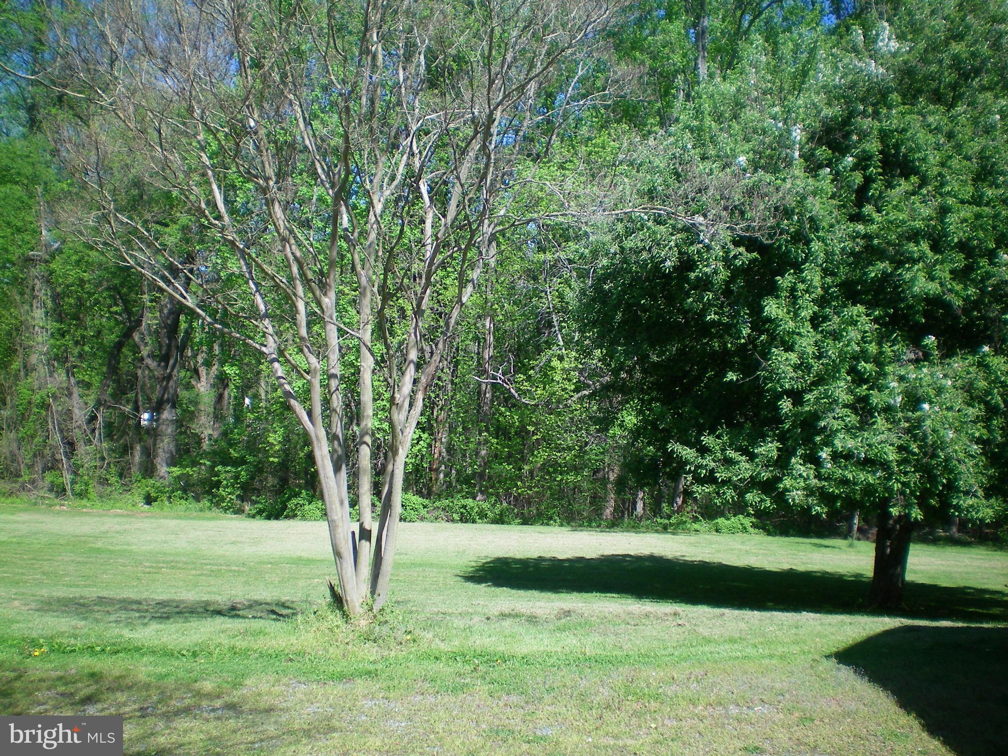 282 Fairhaven Road Tracys Landing, MD 20779 - Photo 27 of 30 a view of grassy field with trees