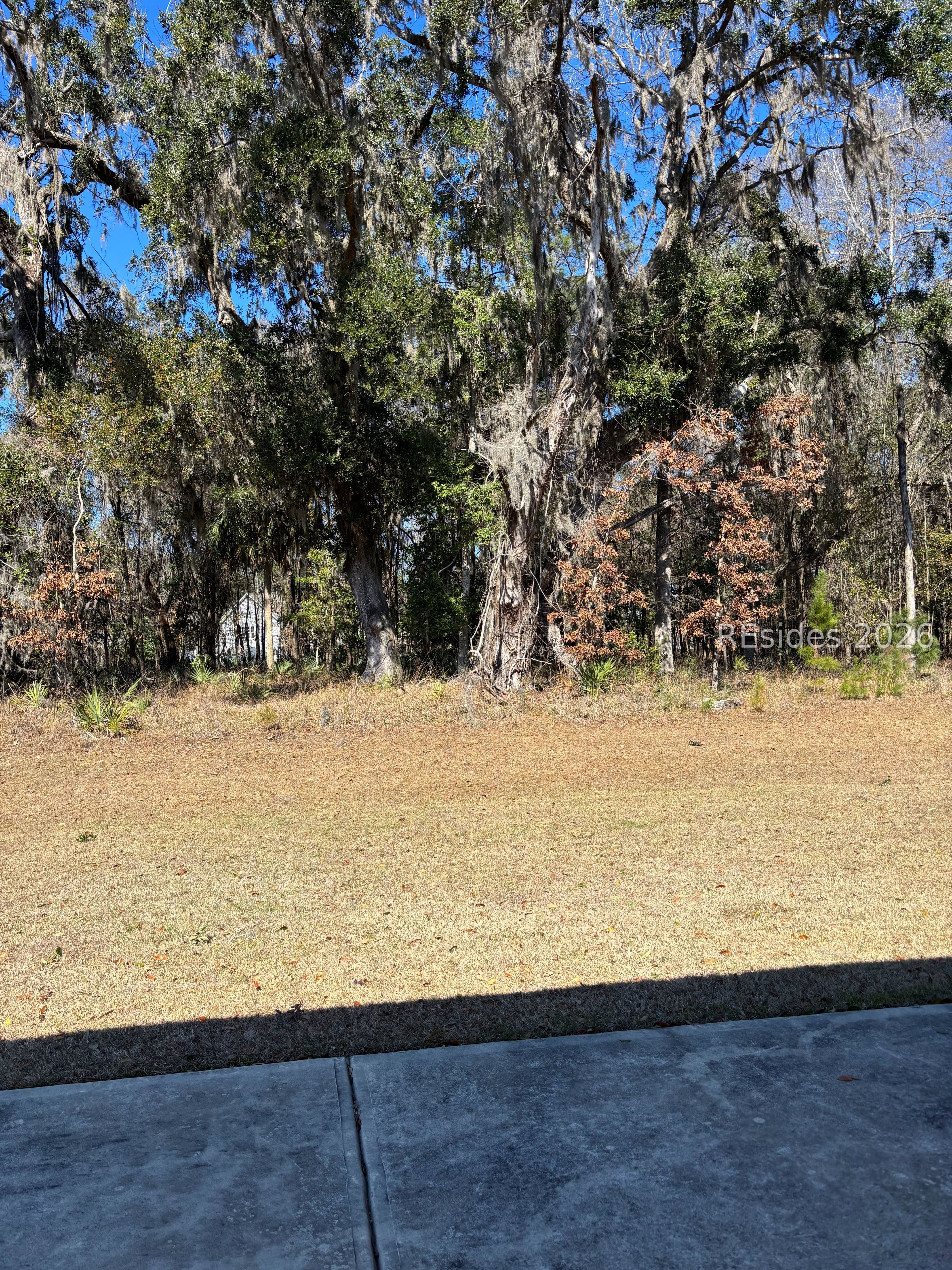 469 Rye Creek Circle Bluffton, SC 29909 - Photo 27 of 33 Semi private backyard