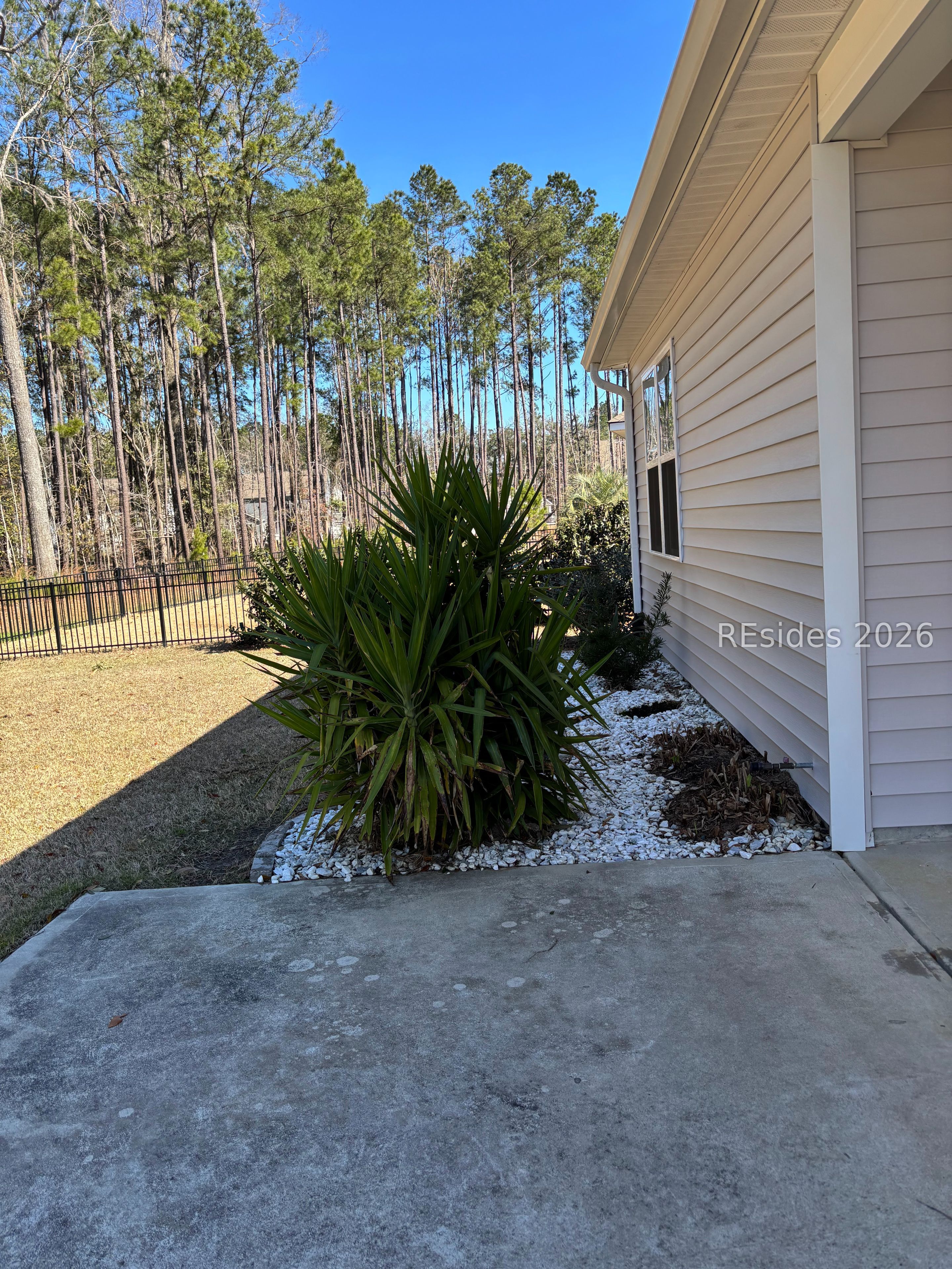 469 Rye Creek Circle Bluffton, SC 29909 - Photo 29 of 33 tropical landscape