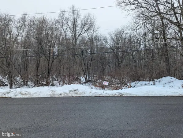 a view of a road with a yard