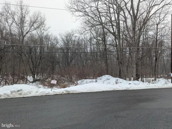 a wooden bench sitting in the middle of a road