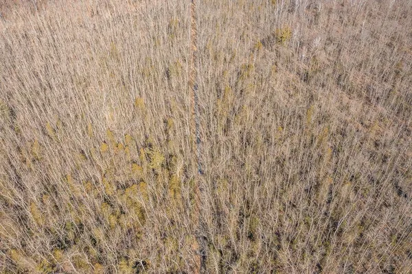 $149,000 | Tbd Tbd 250th Pl Isle, Isle, MN 56342