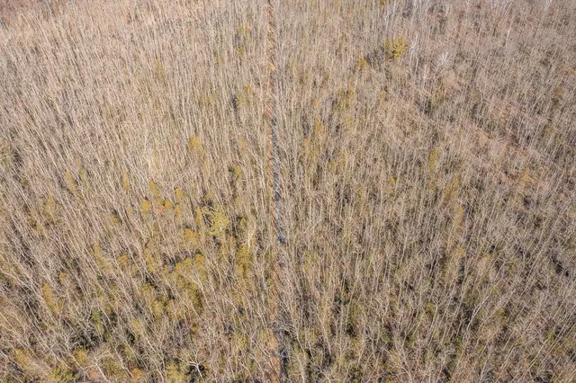 $149,000 | Tbd Tbd 250th Place, Isle, MN 56342