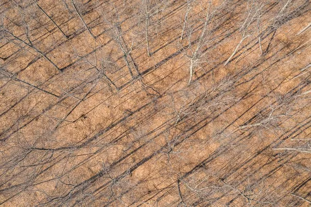 $149,000 | Tbd Tbd 250th Place, Isle, MN 56342