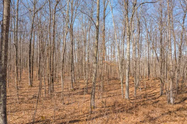 $149,000 | Tbd Tbd 250th Place, Isle, MN 56342