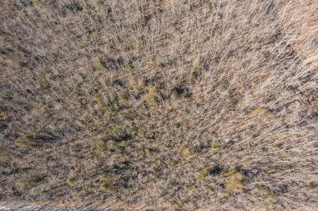 $149,000 | Tbd Tbd 250th Place, Isle, MN 56342