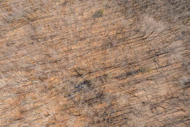 $149,000 | Tbd Tbd 250th Place, Isle, MN 56342