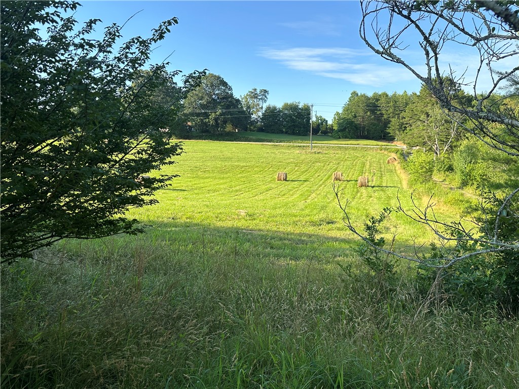 235 Cleveland Pike Road Westminster, SC 29693 - Photo 18 of 42 View looking to Cleveland Pike Rd