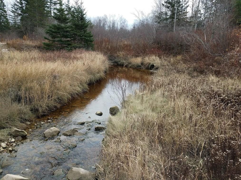 69 Asa Dyer Brook Road Steuben, ME 04680 - Photo 8 of 31 Photo