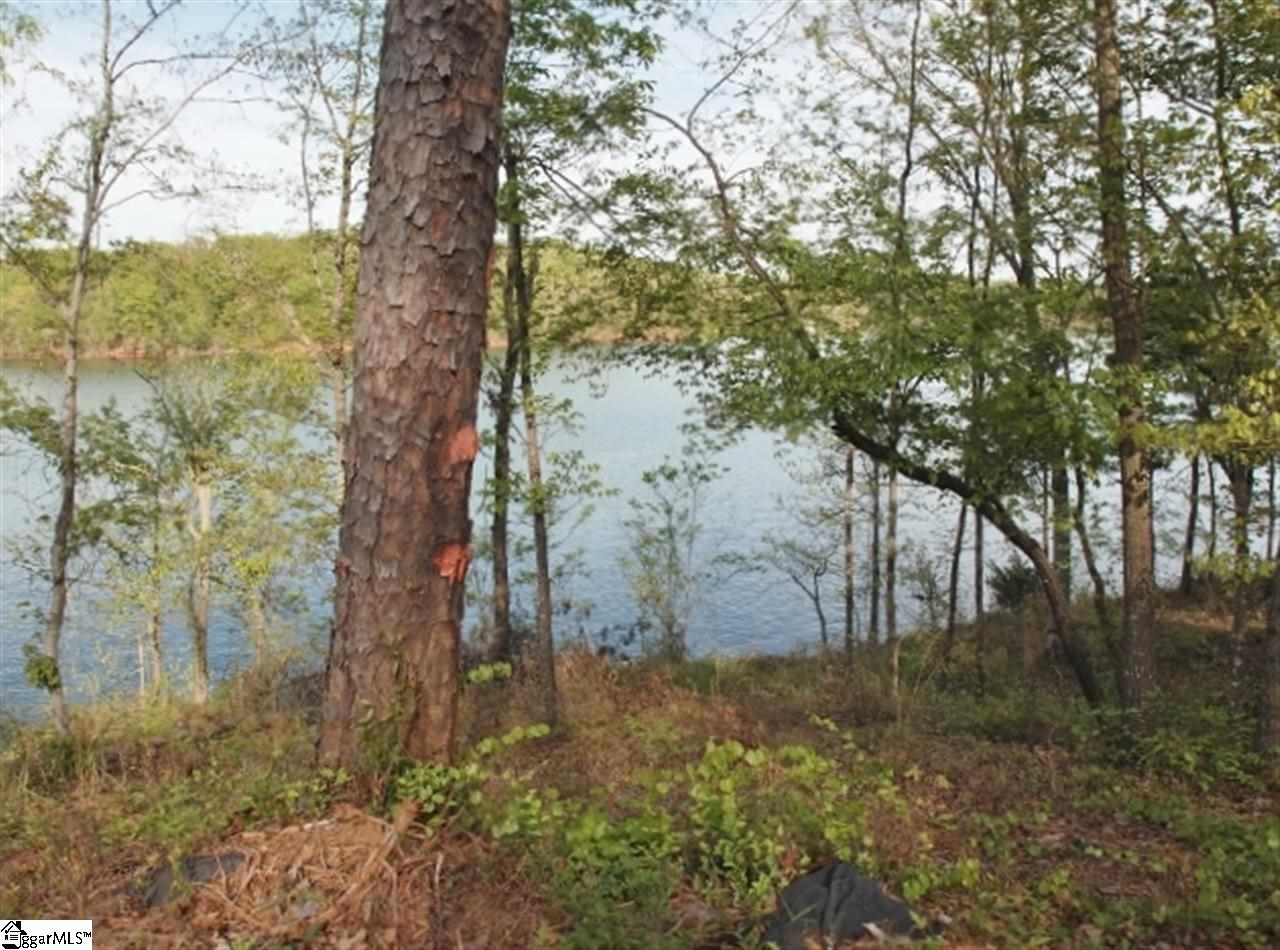 102 Deep River Road, Unit LOT 2 Townville, SC 29689 - Photo 3 of 7