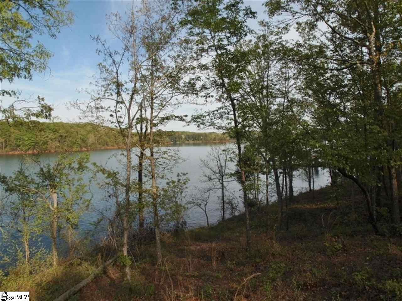102 Deep River Road, Unit LOT 2 Townville, SC 29689 - Photo 4 of 7