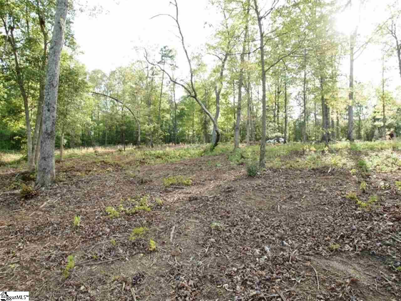102 Deep River Road, Unit LOT 2 Townville, SC 29689 - Photo 5 of 7