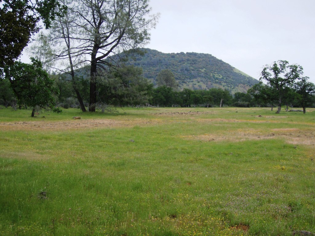 40-acres Wildcat Road Shingletown, CA 96088 - Photo 1 of 18 Black Butte view