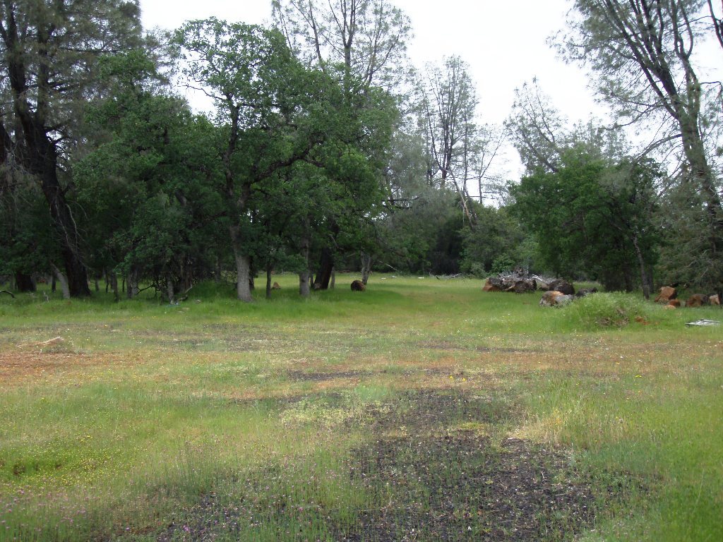 40-acres Wildcat Road Shingletown, CA 96088 - Photo 16 of 18 Possible build site