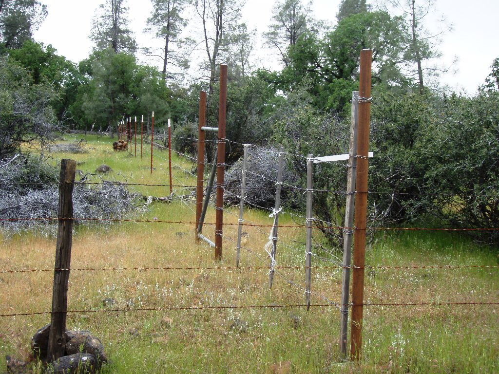 40-acres Wildcat Road Shingletown, CA 96088 - Photo 8 of 18 Western fence line