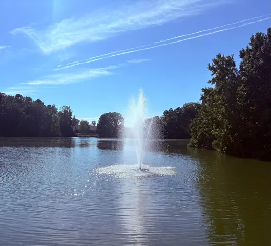 $365,000 | 302 Owl Watch Way, Moncks Corner, SC 29461