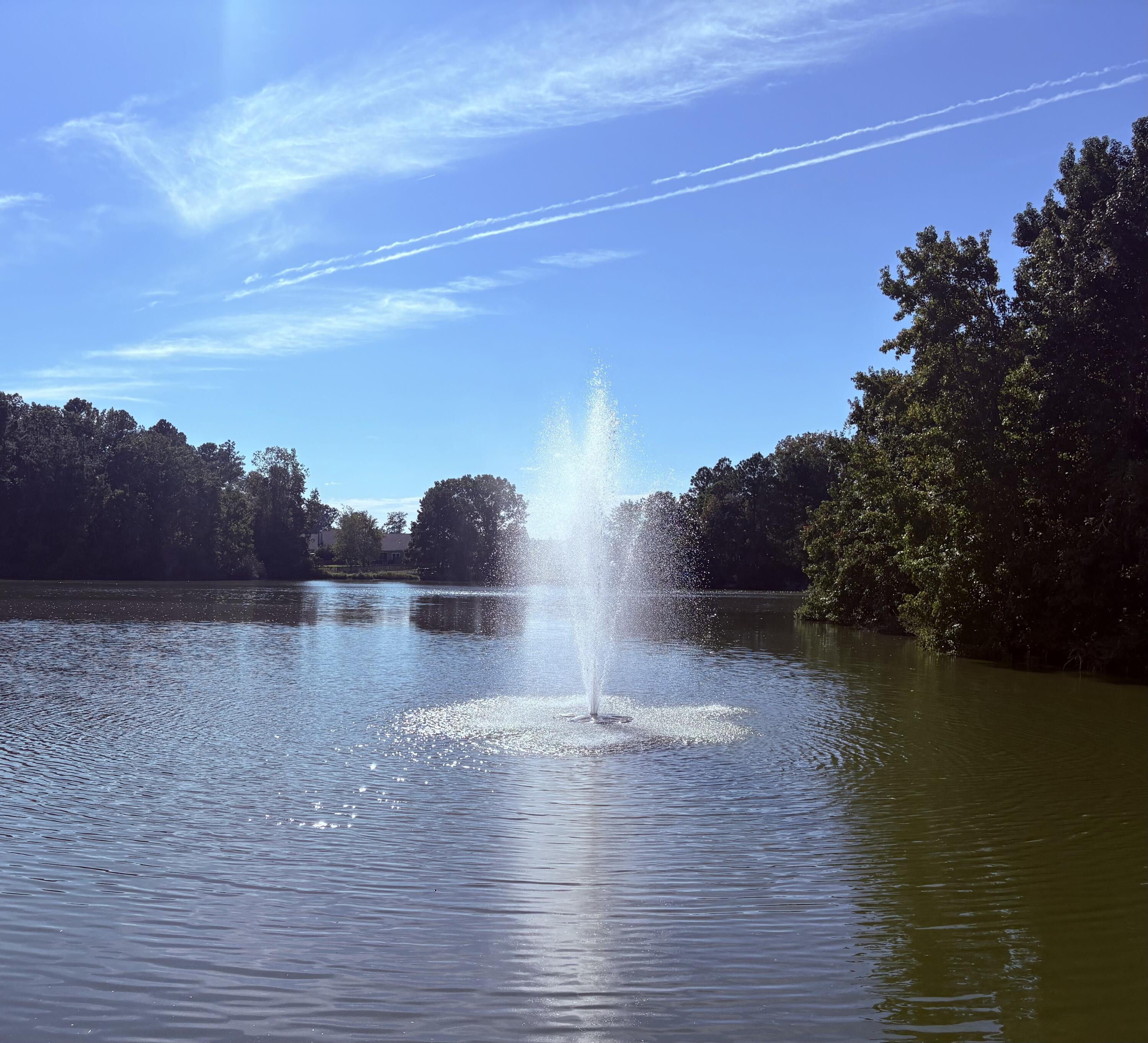 302 Owl Watch Way Moncks Corner, SC 29461 - Photo 49 of 49 IMG_0179