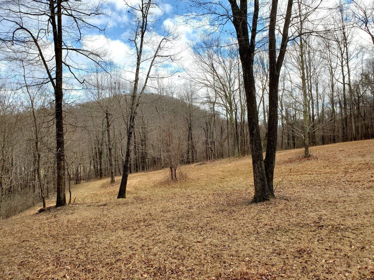 12929 Callaway Road Callaway, VA 24067 - Photo 21 of 59 a view of a tree with a yard