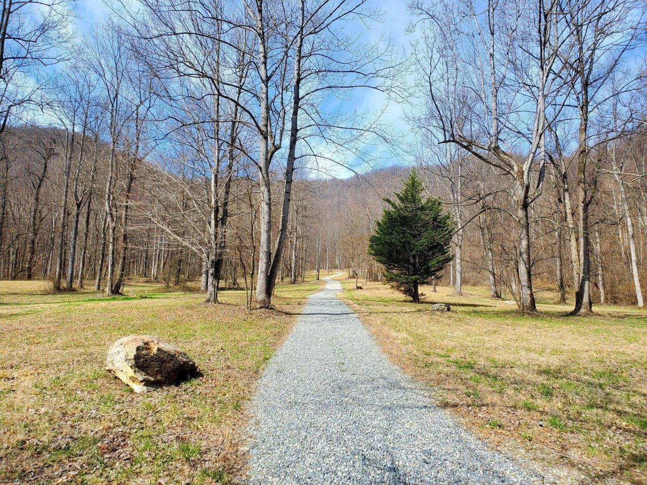 12929 Callaway Road Callaway, VA 24067 - Photo 27 of 59 a view of a yard with a slide