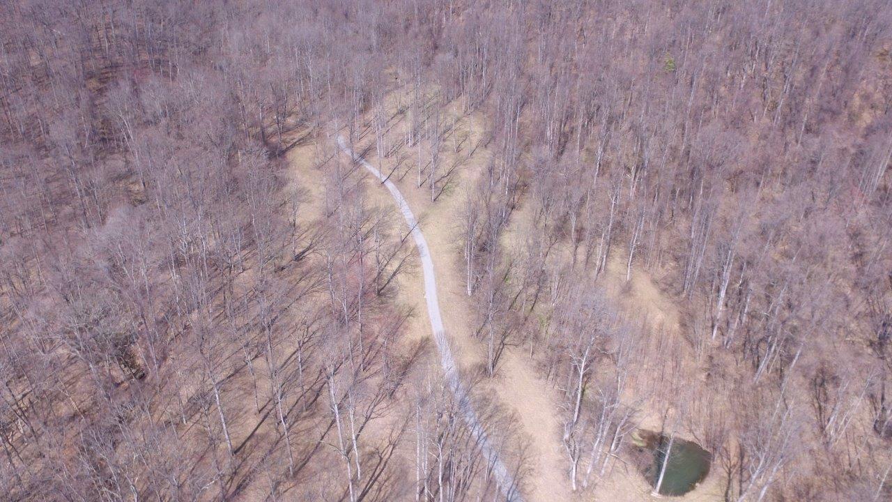 12929 Callaway Road Callaway, VA 24067 - Photo 42 of 59 Bowers-DJI_0171
