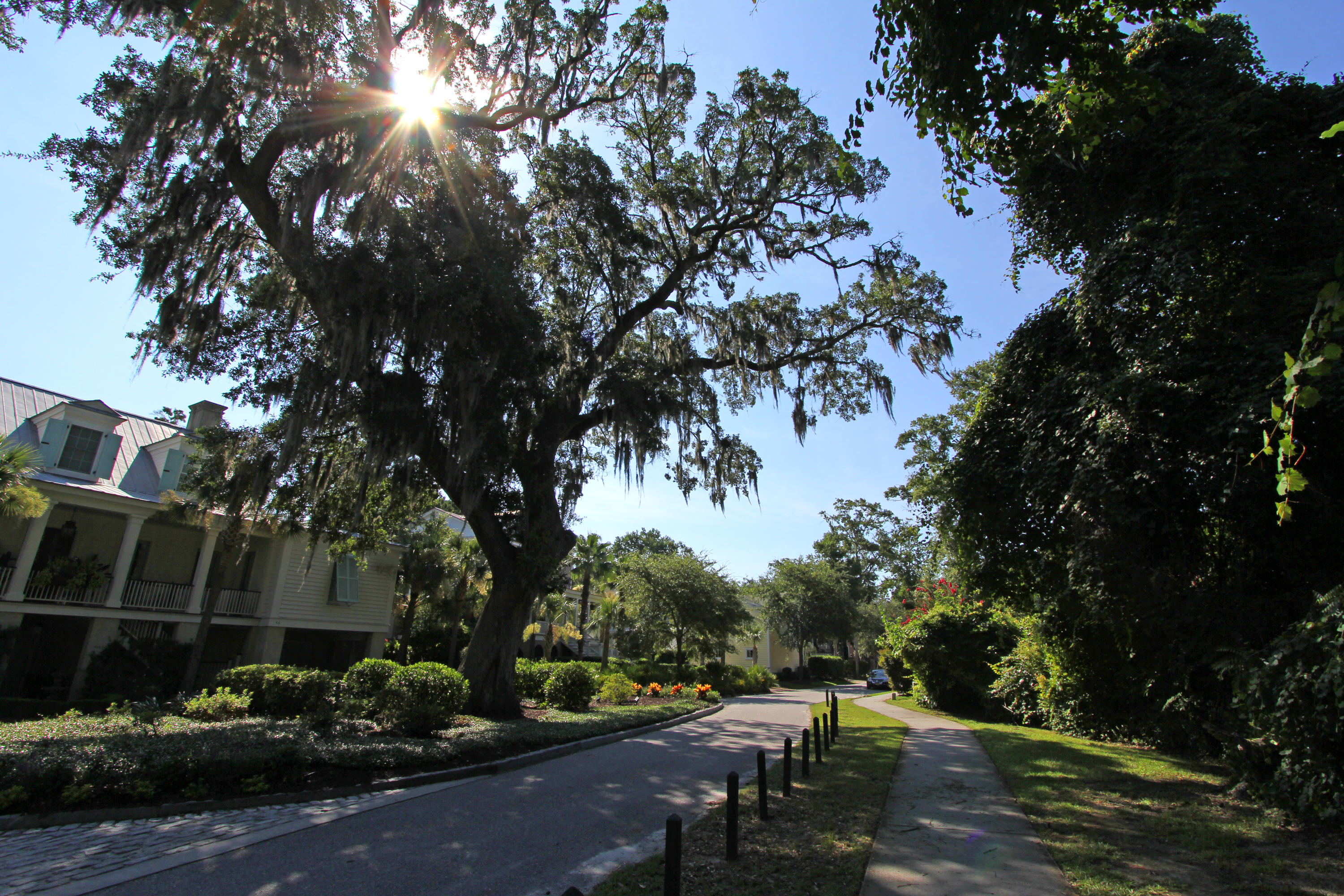 45 Saturday Road Mount Pleasant, SC 29464 - Photo 4 of 9 lot view 2