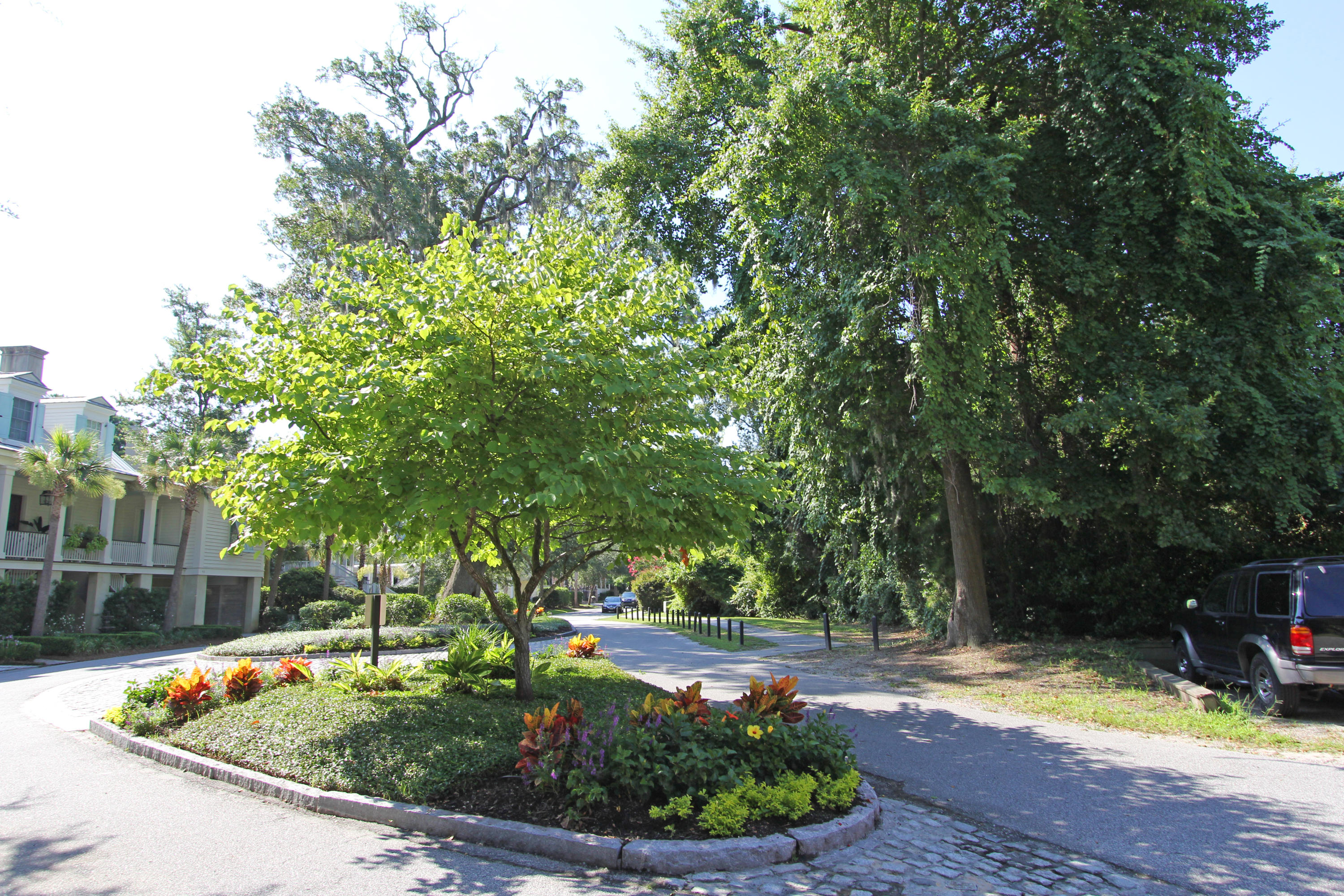 45 Saturday Road Mount Pleasant, SC 29464 - Photo 5 of 9 lot view 3