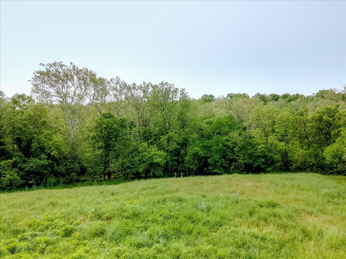 3816 Switzer Road Frankfort, KY 40601 - Photo 12 of 13 11-1-11
