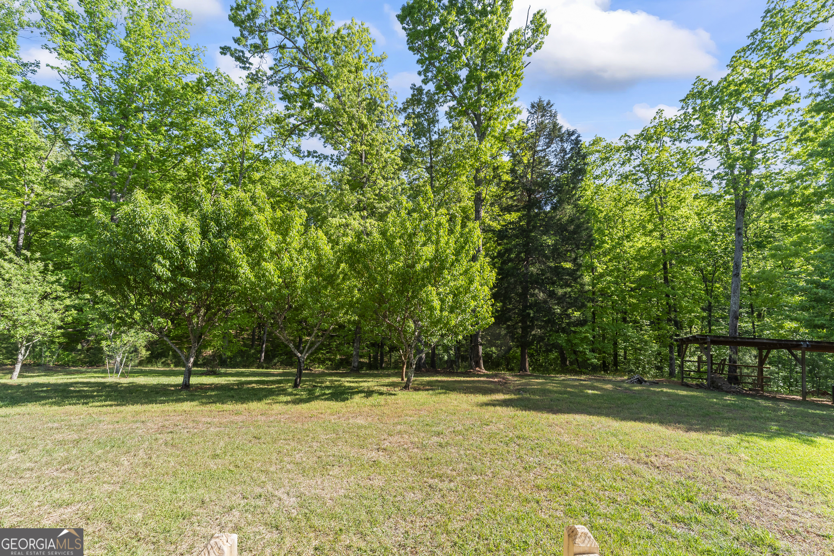 920 Yeoman Lake Road Clarkesville, GA 30523 - Photo 40 of 95