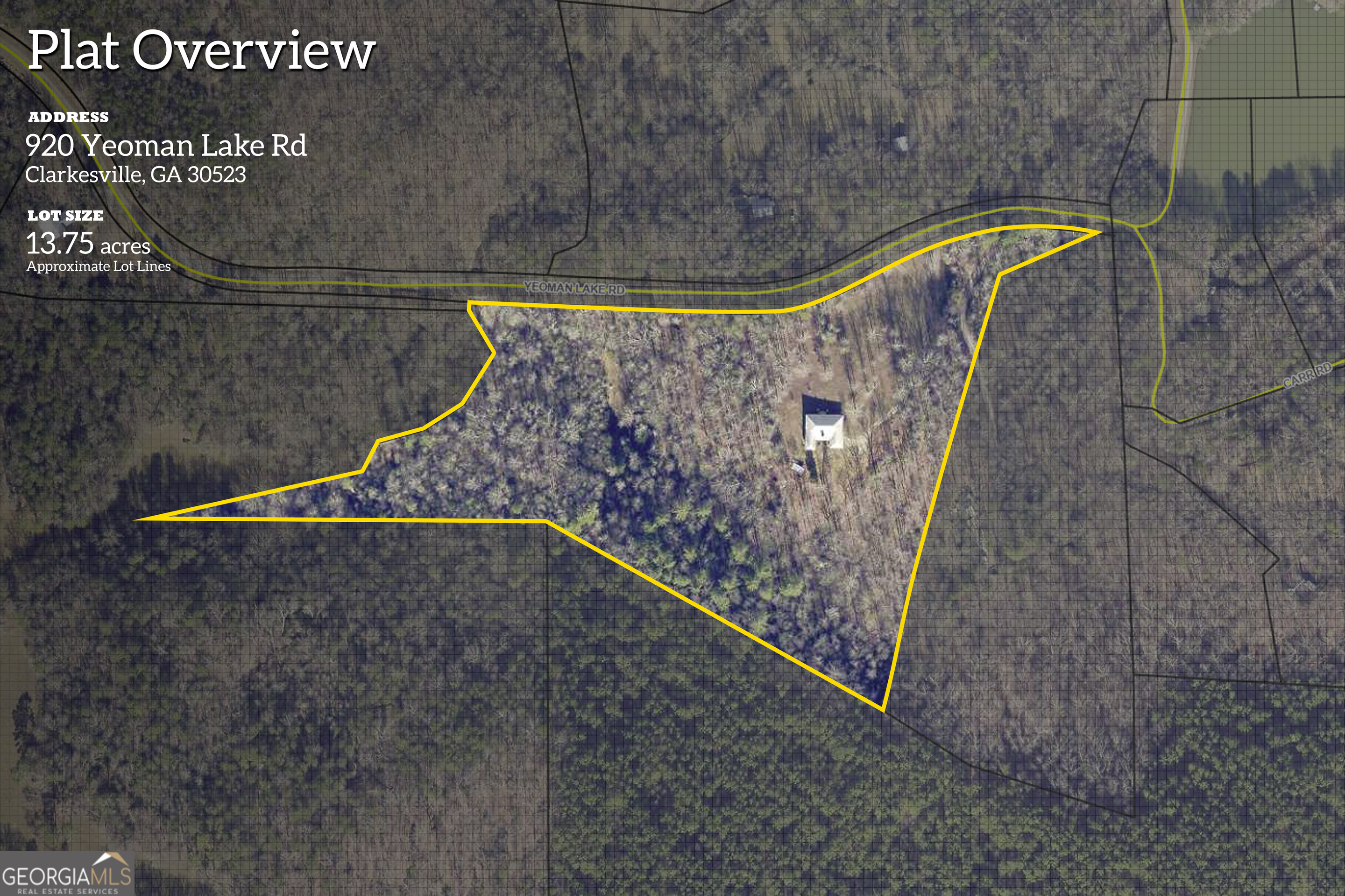 920 Yeoman Lake Road Clarkesville, GA 30523 - Photo 6 of 95