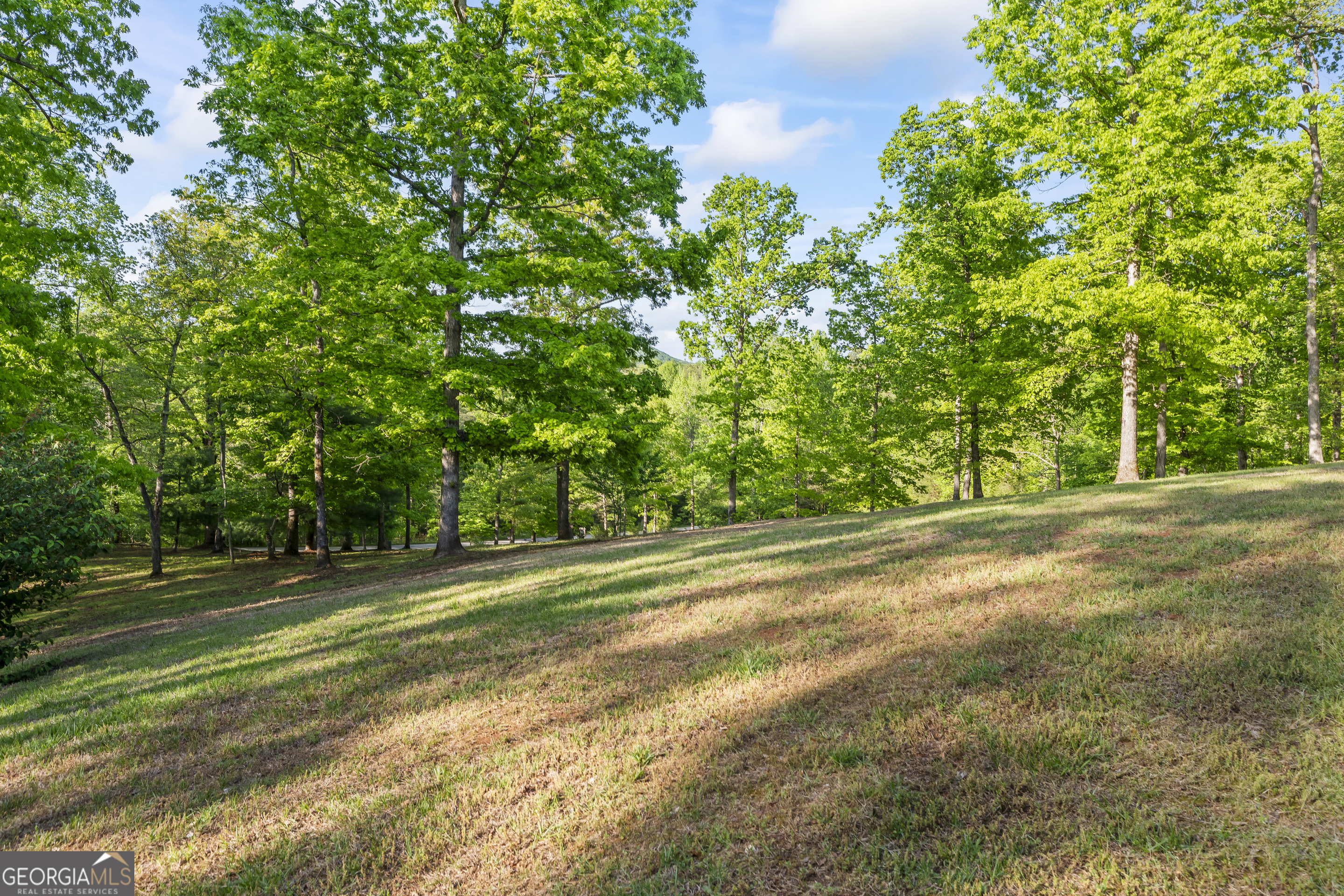 920 Yeoman Lake Road Clarkesville, GA 30523 - Photo 70 of 95