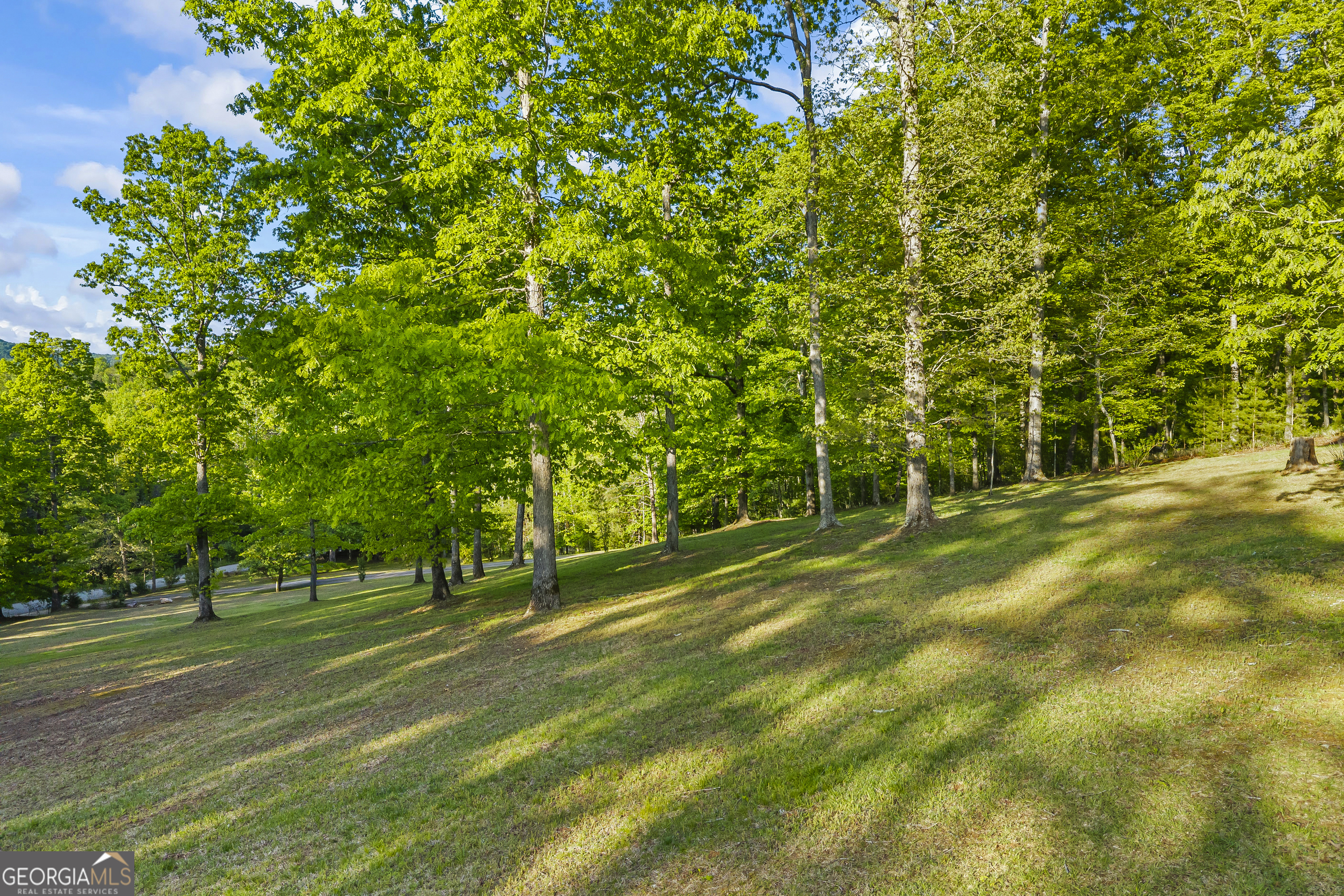 920 Yeoman Lake Road Clarkesville, GA 30523 - Photo 74 of 95