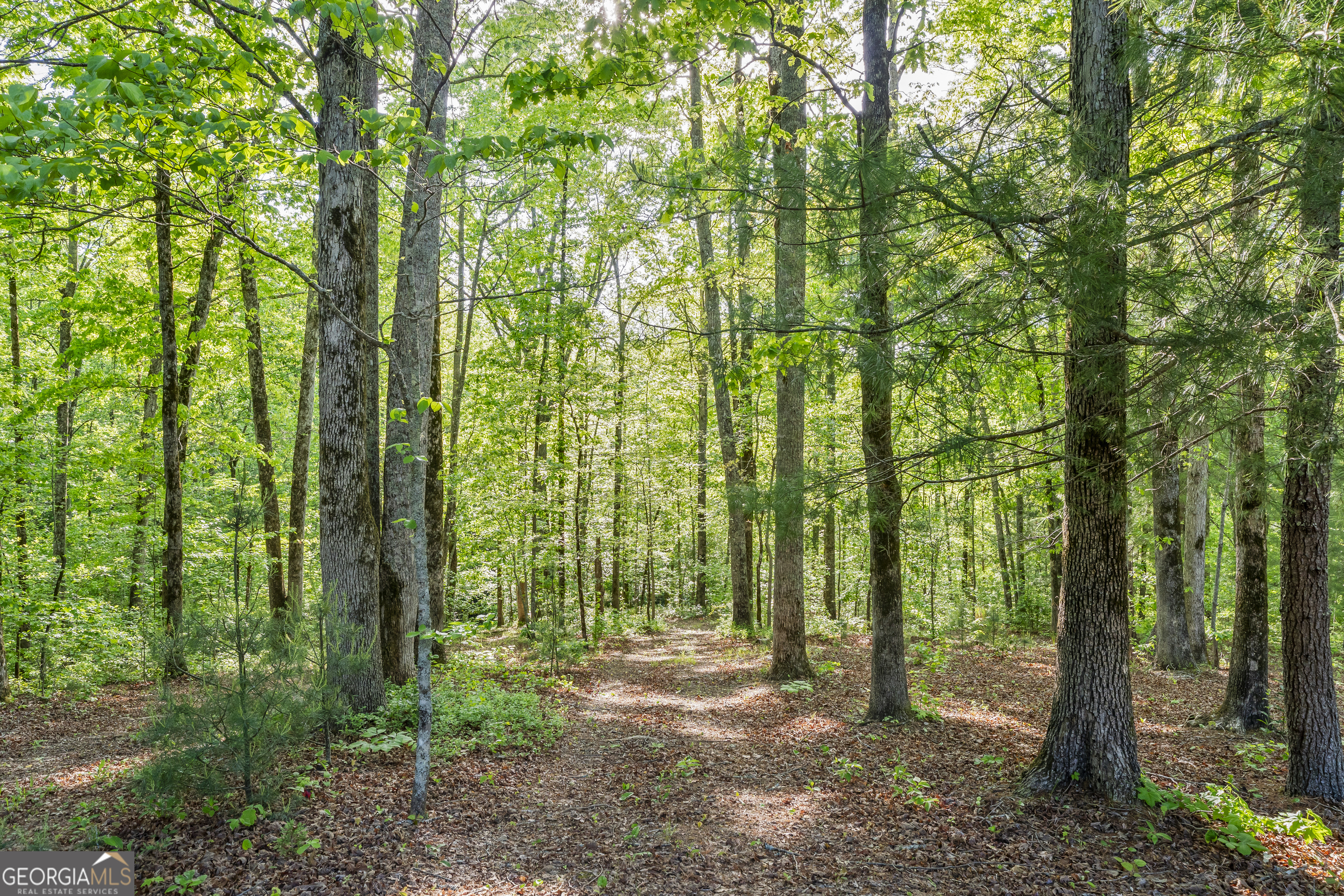 920 Yeoman Lake Road Clarkesville, GA 30523 - Photo 75 of 95