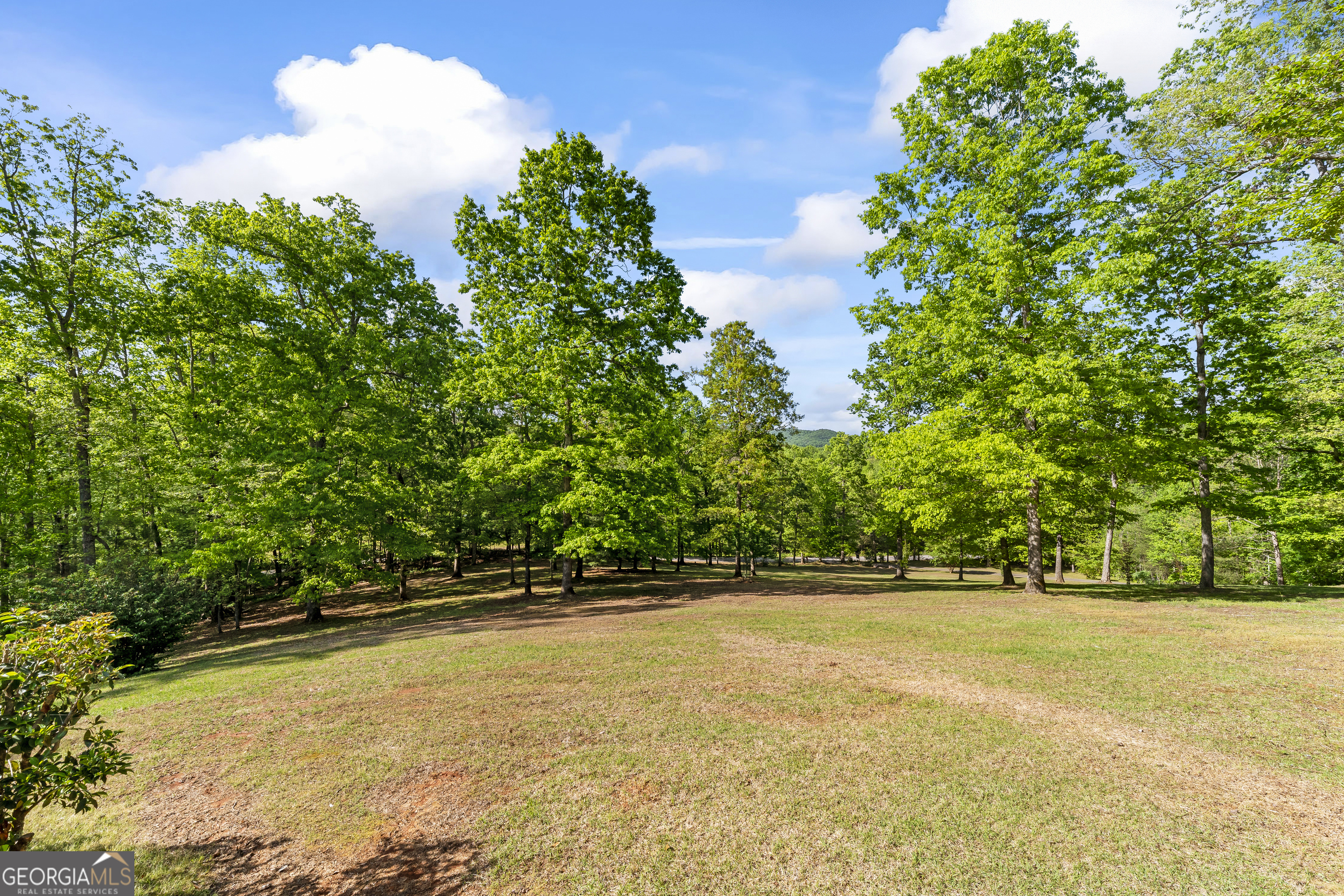 920 Yeoman Lake Road Clarkesville, GA 30523 - Photo 77 of 95