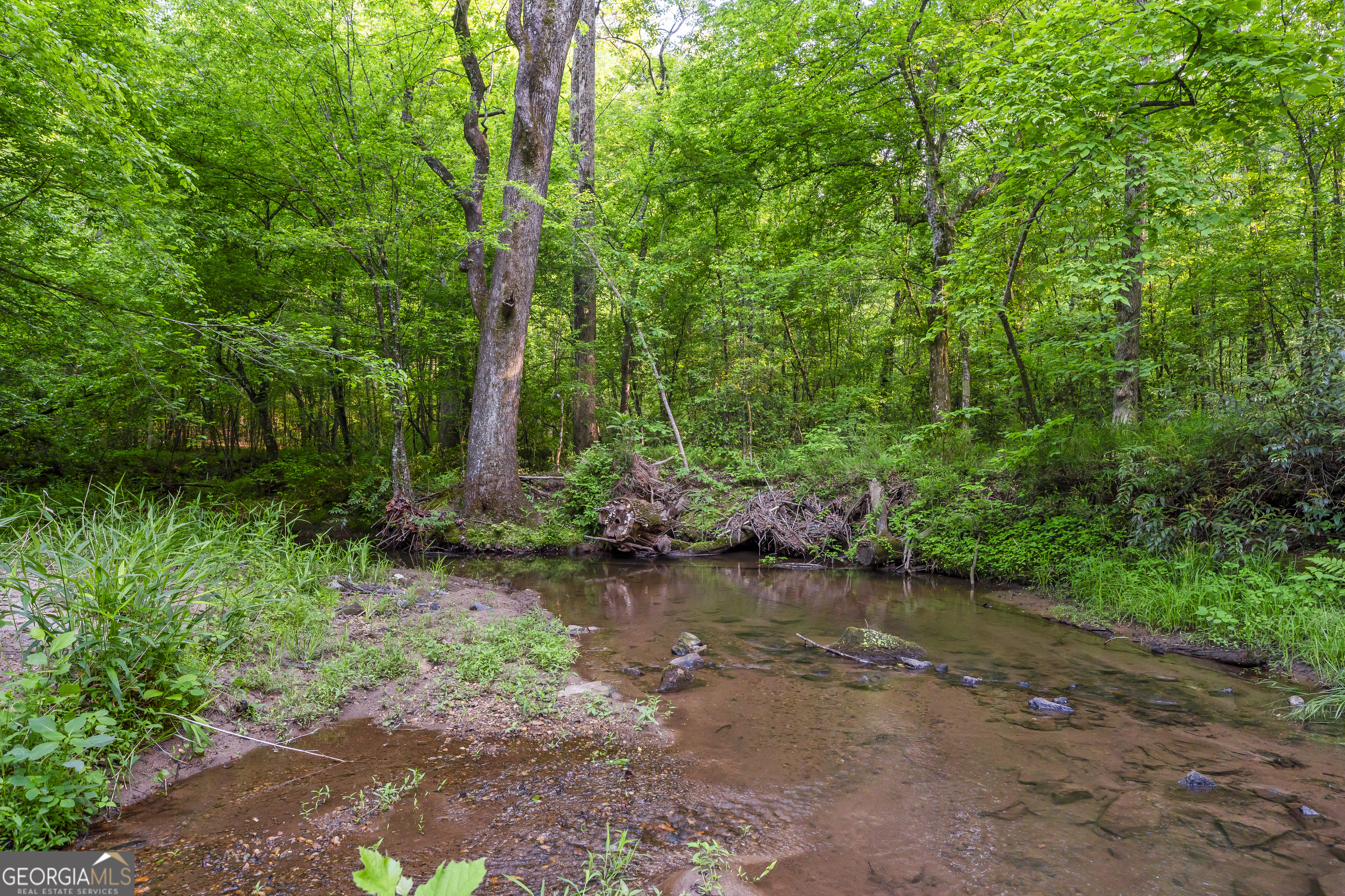 920 Yeoman Lake Road Clarkesville, GA 30523 - Photo 79 of 95