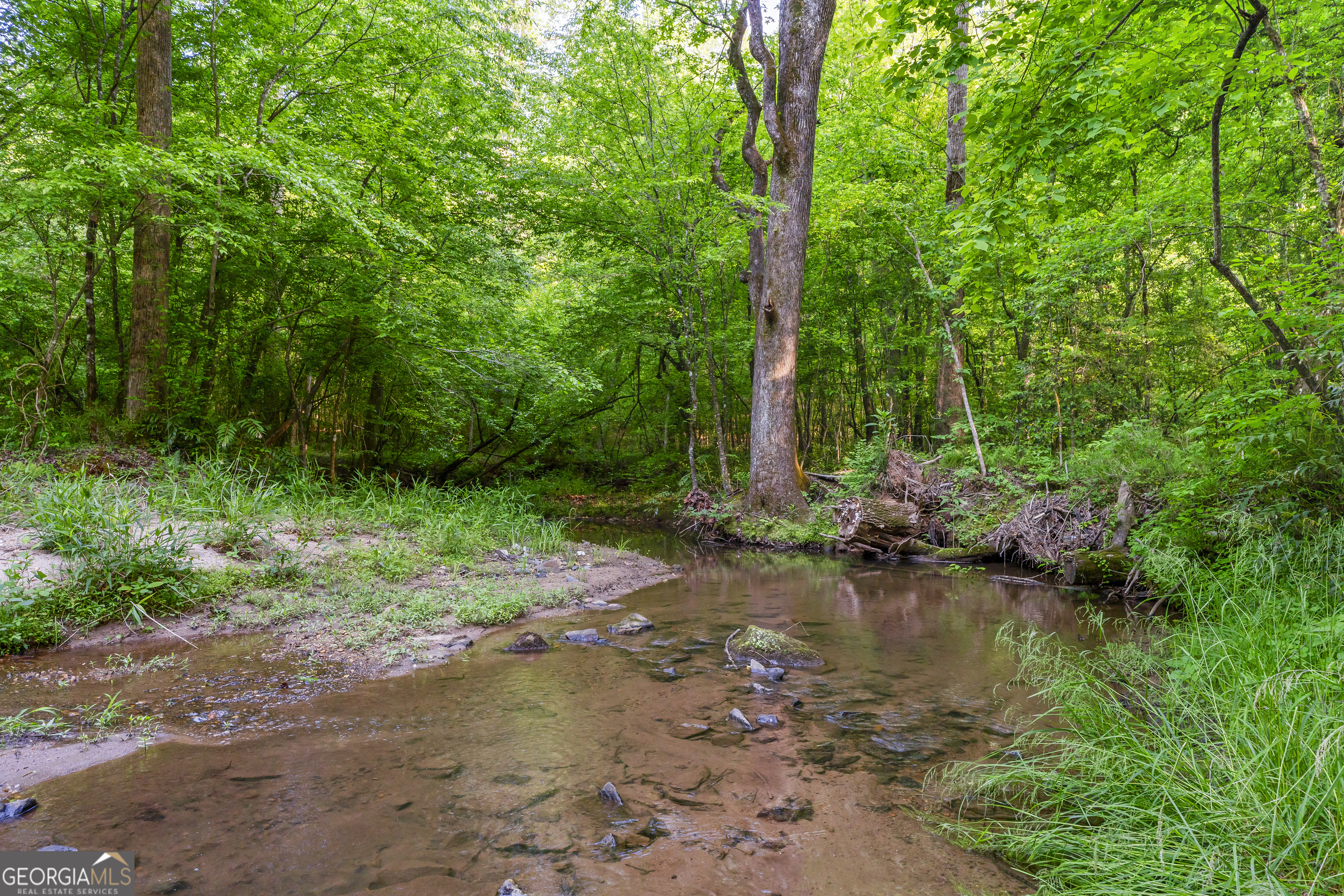 920 Yeoman Lake Road Clarkesville, GA 30523 - Photo 8 of 95