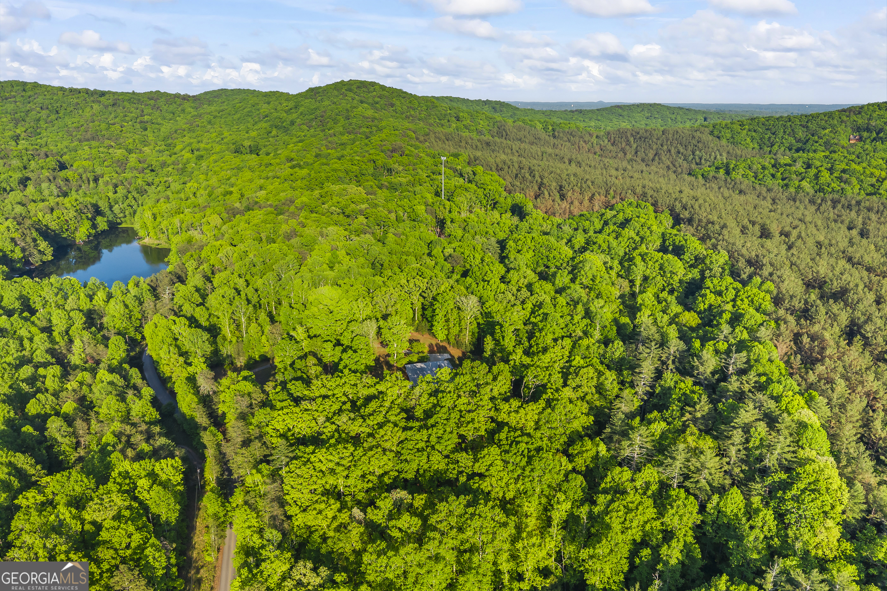 920 Yeoman Lake Road Clarkesville, GA 30523 - Photo 88 of 95
