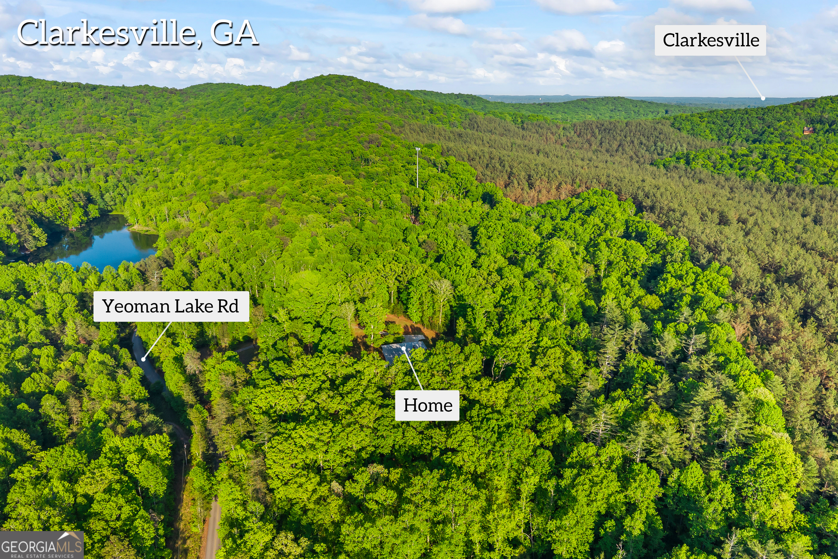 920 Yeoman Lake Road Clarkesville, GA 30523 - Photo 89 of 95