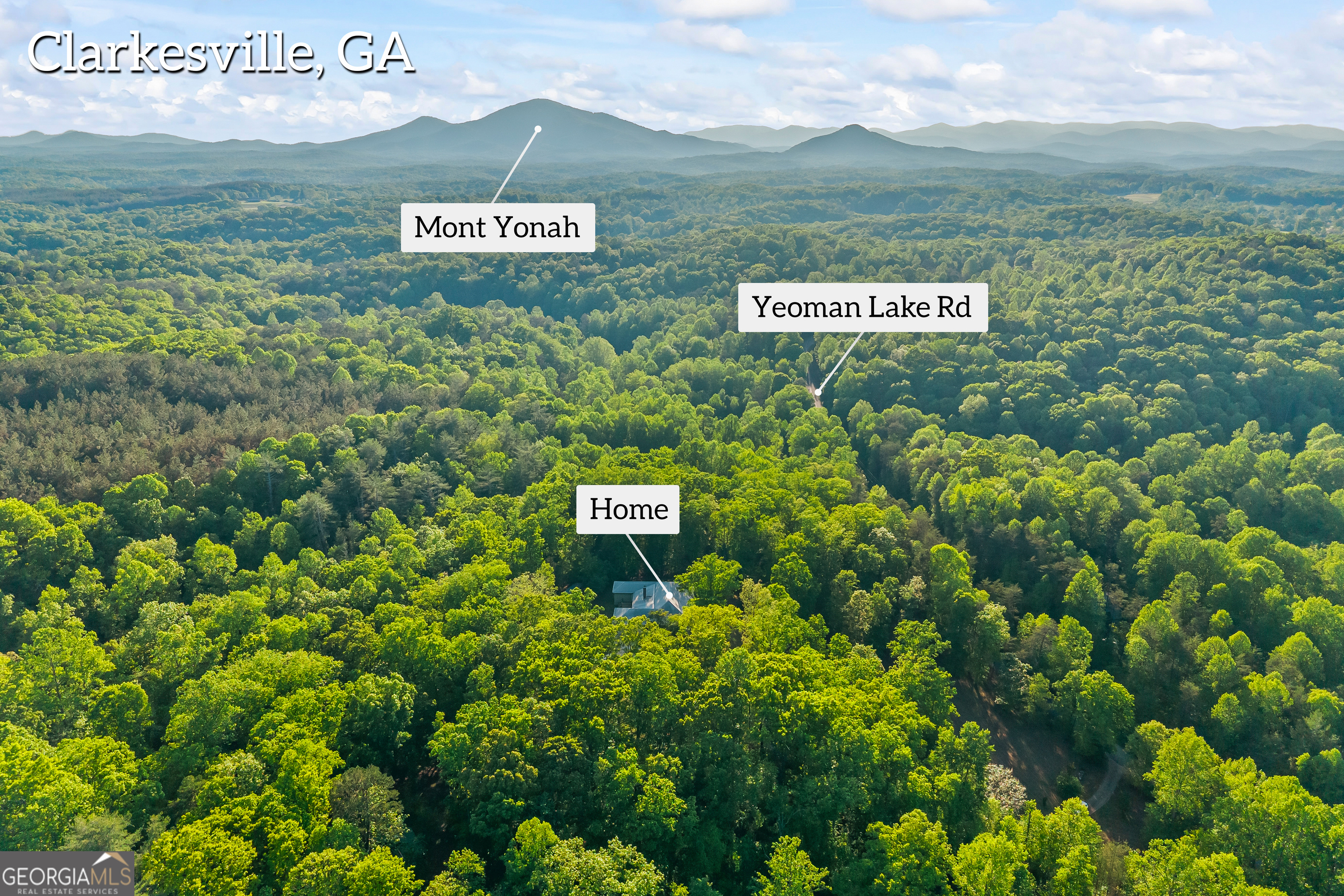 920 Yeoman Lake Road Clarkesville, GA 30523 - Photo 94 of 95