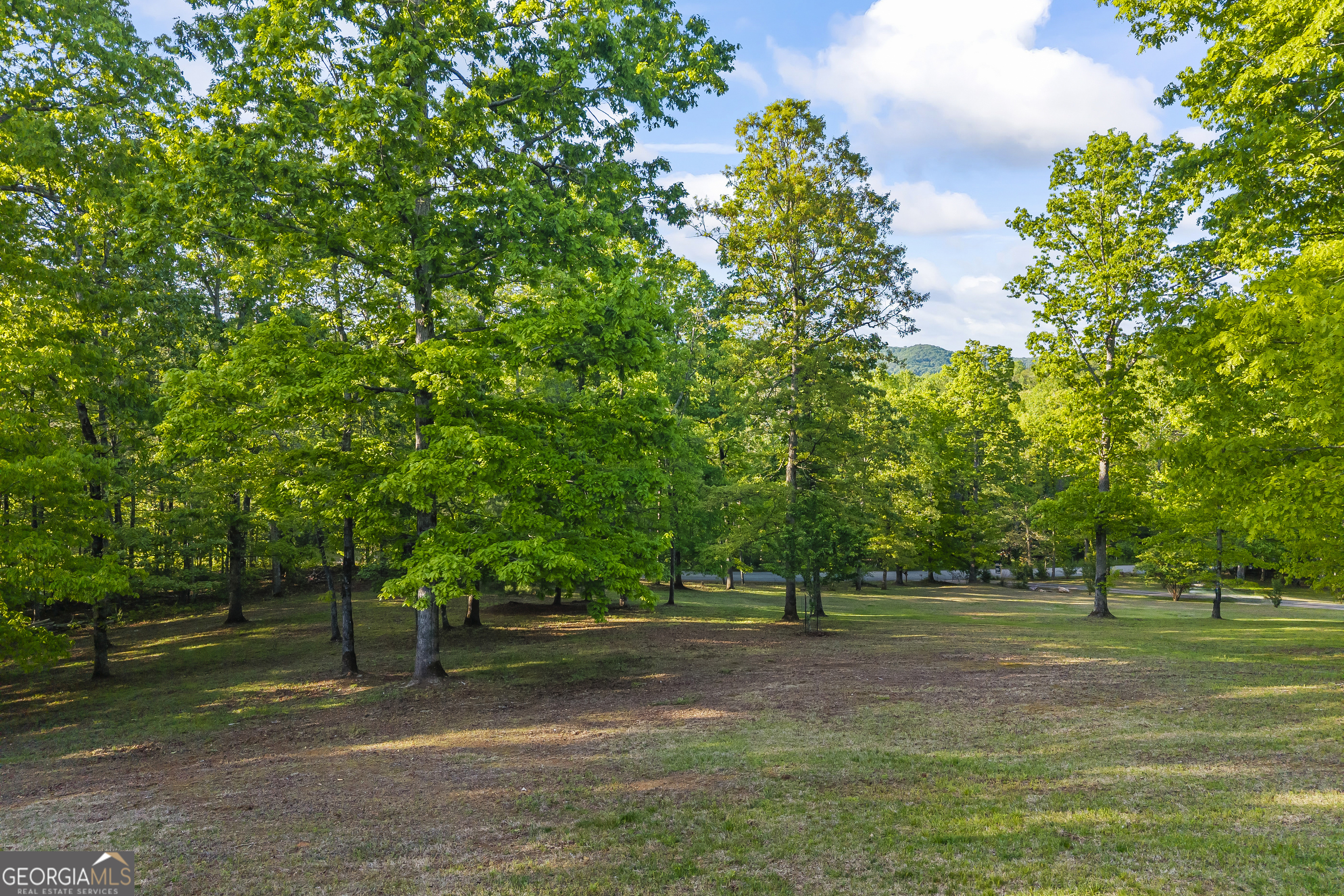 920 Yeoman Lake Road Clarkesville, GA 30523 - Photo 10 of 95