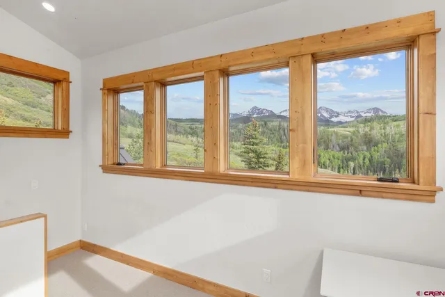 a view of a lush green hillside and a mountain