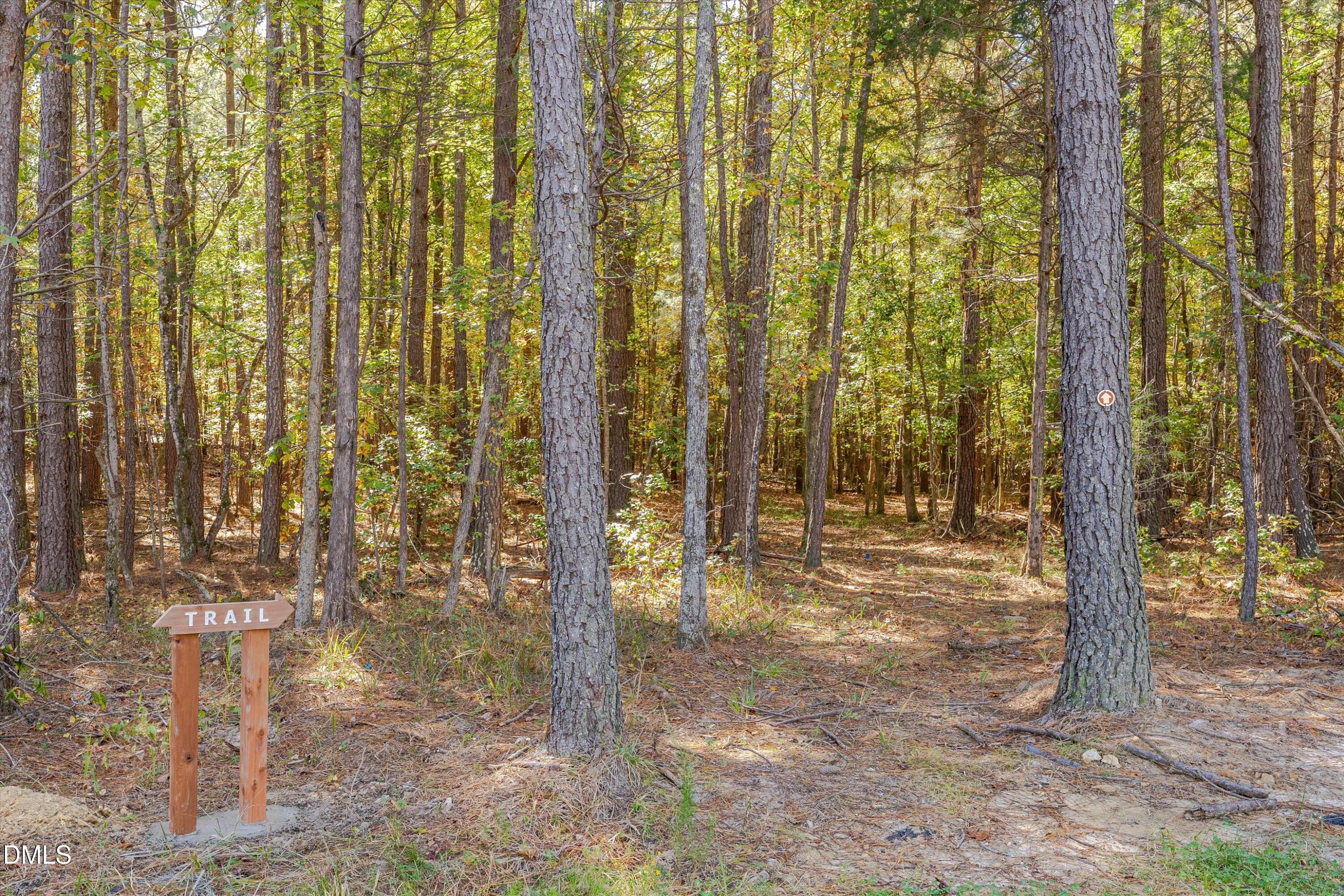 4637 Array Drive Hillsborough, NC 27278 - Photo 53 of 53 37