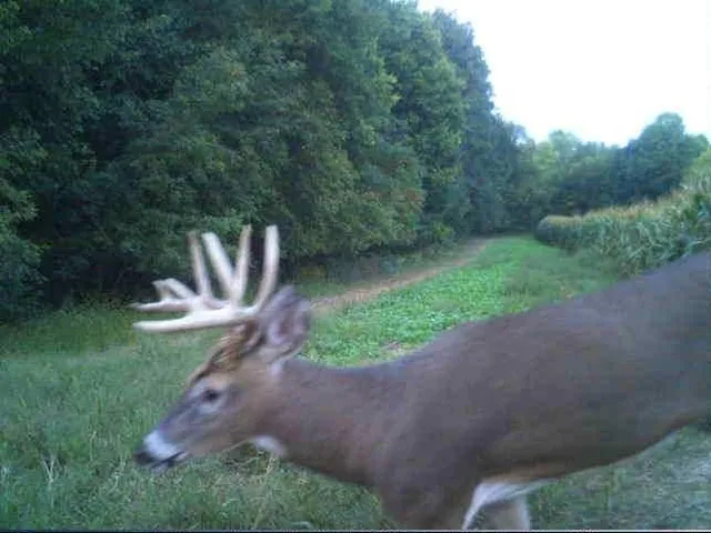 $949,900 | W1349 Hurlburt, Canton, WI 54755