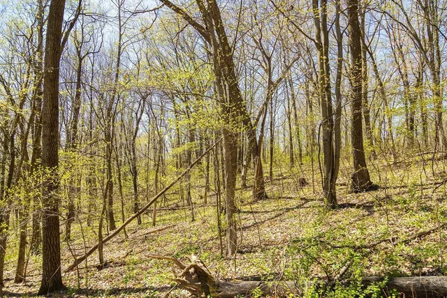 $949,900 | W1349 Hurlburt, Canton, WI 54755