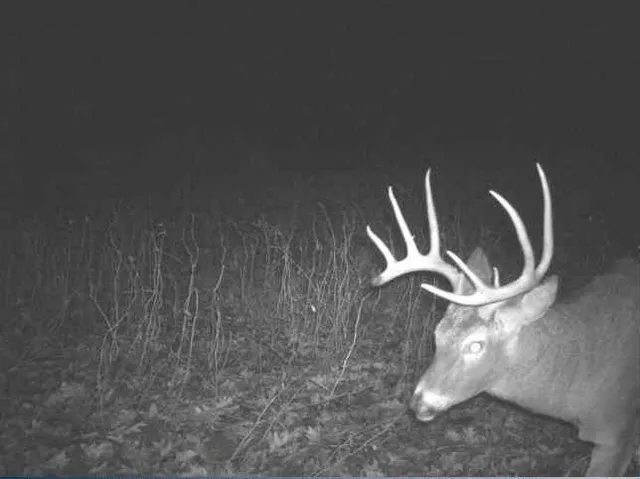 $949,900 | W1349 Hurlburt, Canton, WI 54755