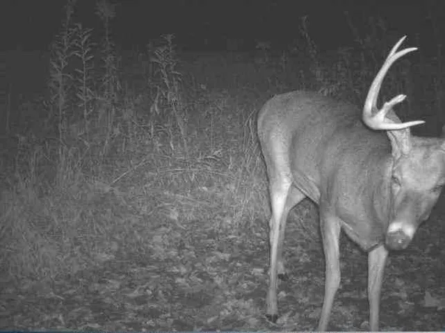 $949,900 | W1349 Hurlburt, Canton, WI 54755