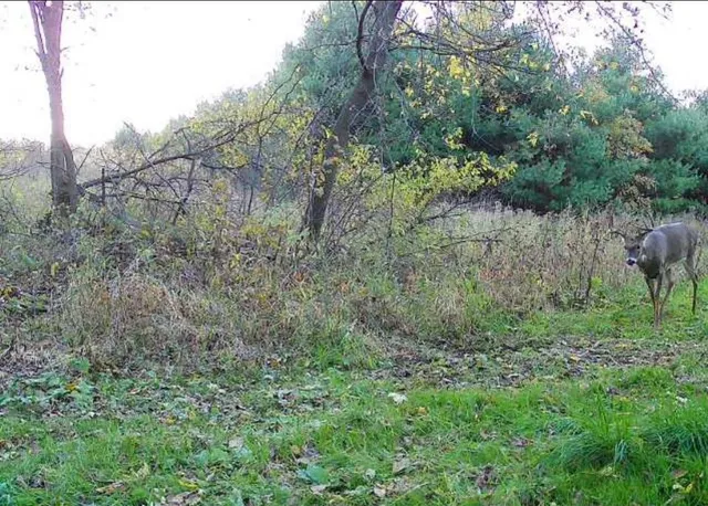 $949,900 | W1349 Hurlburt, Canton, WI 54755