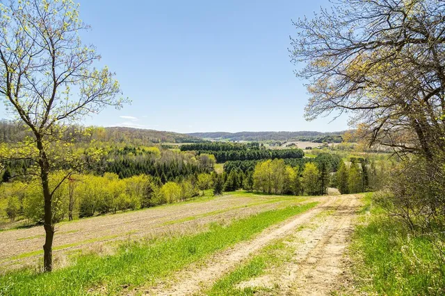 $949,900 | W1349 Hurlburt, Canton, WI 54755